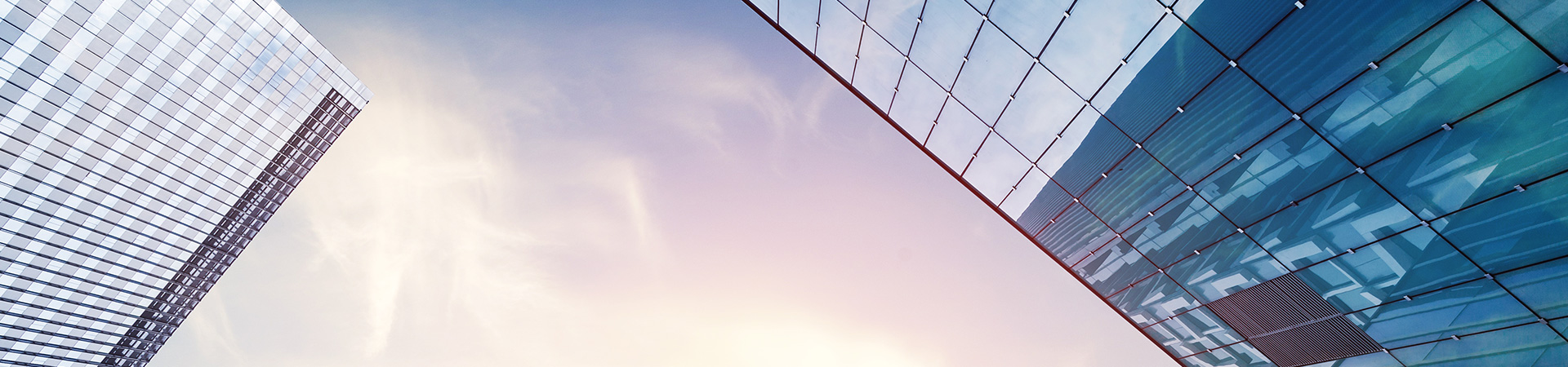 关于蘑菇视频污免费下载